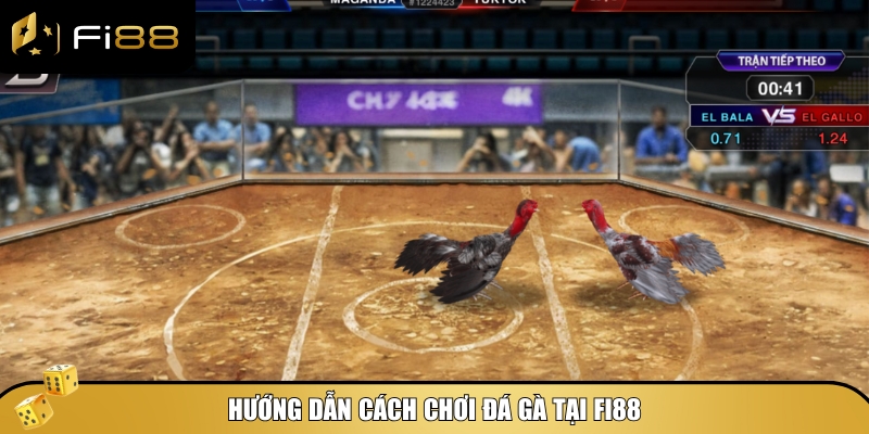 Tham gia cược đá gà Fi88